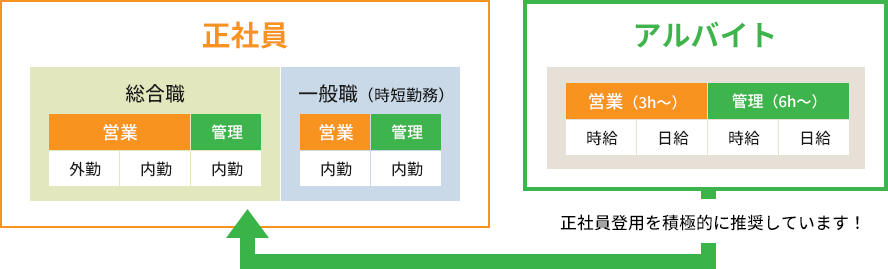 正社員登用の図