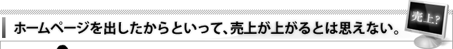ホームページを出したからといって、売上が上がるとは思えない。
